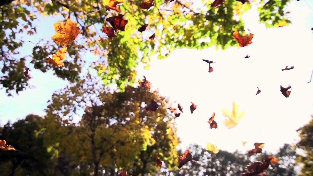 The Lord's Prayer - Our Father Who Art in Heaven