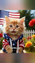 “POV: Your Kitten Wakes You Up With a ‘Good Morning!’ 😻✨🌞”