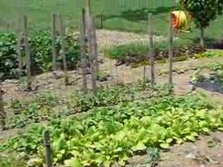 Ambon le 12 mai 2008  maison et jardin