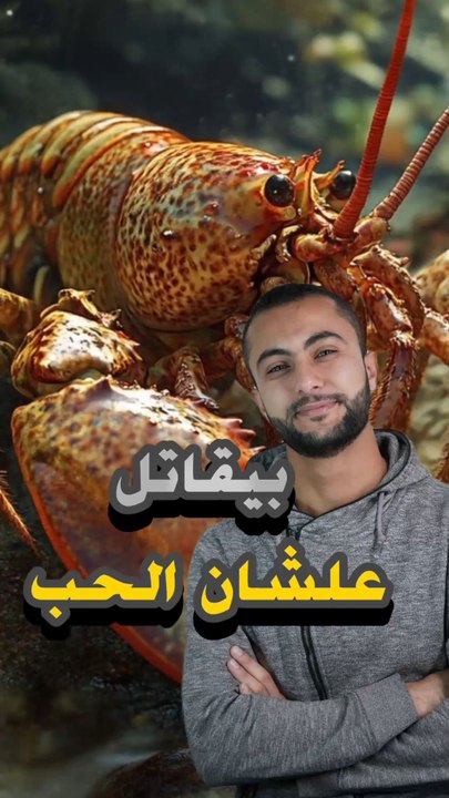 🦀 سرطان البحر بيقاتل حتى الموت عشان الحب؟https://psce.pw/7qyam7#النواة #سرطان_البحر#Alnawa #dubai🇦🇪 #dubailife #Brachyura #trending #travel #nature #wildlife