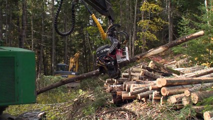 Mise en marché collective : le projet du Syndicat validé par la Cour supérieure