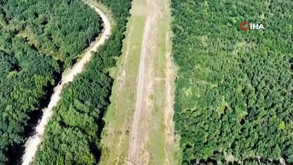 Tekirdağ’da orman nöbeti: Jandarma kaçak kesimlere geçit vermiyor