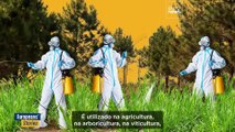 Pesticidas: uma vida arruinada pelo glifosato