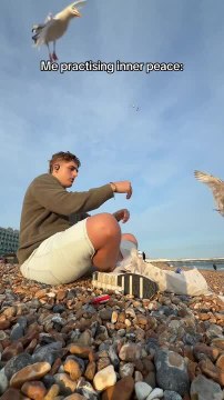 Seagulls Attack Man on Beach