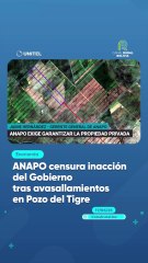 ANAPO censura inacción del Gobierno tras avasallamientos en Pozo del Tigre