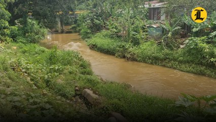Contaminación y deforestación afectan el río Banilejos en Rancho Arriba de Ocoa