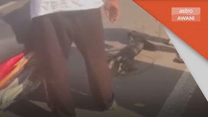 Polis siasat kes lelaki seret anjing