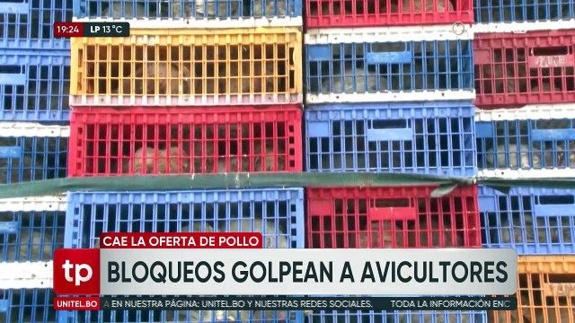 Bloqueos en Cochabamba: “Están en riesgo 11 millones de aves” dicen productores avícolas