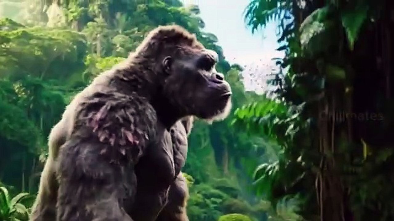 King_Kong_And_The_Lions_vs_Medusa_Gorgon_And_Her_Snakes__Skull_Island_Snake_Invasion(360p)