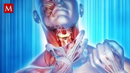 Multimillonario muere tras insólito accidente con una abeja: ¿Qué pasó?