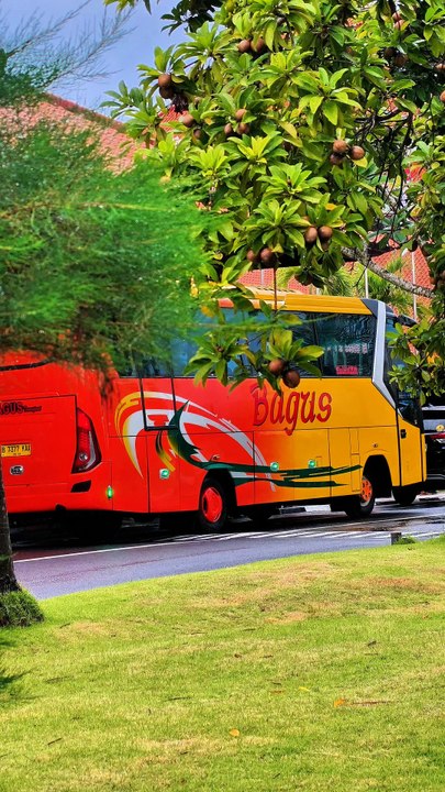 Sewa Bus Di Bali