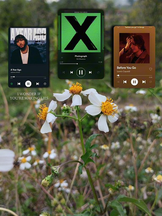 A Years ago x photograph x before you go