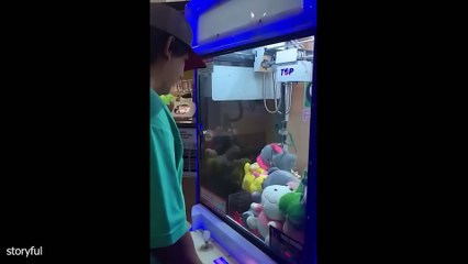 Silliest Cats on Earth 😂 Funny Cats Videos 2025