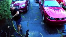 You Laugh, You Lose! 🤣 Best Funny Fails of the Week