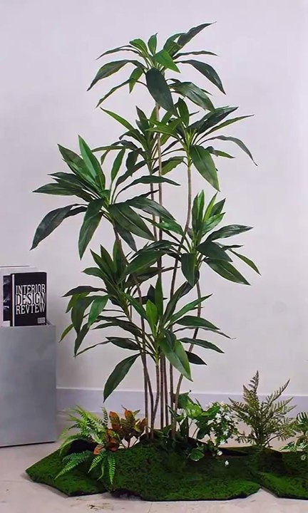 TIỂU CẢNH CÂY THIẾT MỘC LAN GIẢ – GIẢI PHÁP DECOR SANG TRỌNG & HỢP PHONG THUỶ