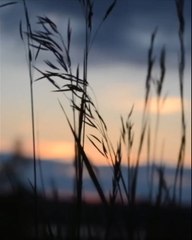 Do this in the Morning | Allah (SWT) will protect you inshaallah | Mufti Menk Speech