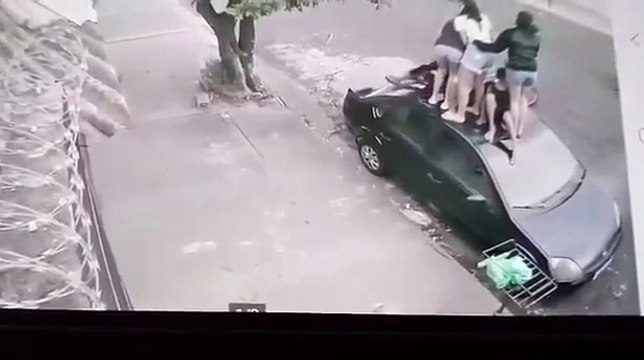 Crianças e adolescentes sobem em carro para fugir de ataque de cão; vídeo