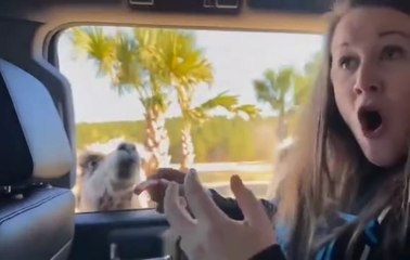 Funniest TikTok Moments That Went Viral! 🤣🔥"