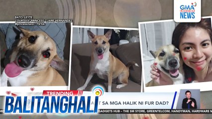 Aso, bakit kaya galit sa mga halik ni fur dad? | Balitanghali