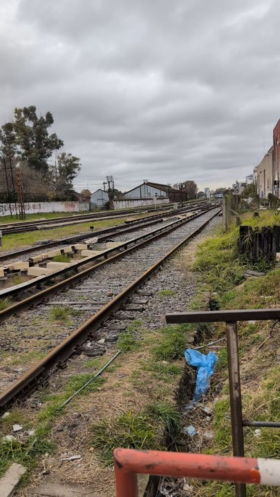 trasporte publico Argentina train railroad fanning
