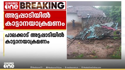 അട്ടപ്പാടിയിൽ കാട്ടാനയാക്രമണം; വീടിന്റെ അടുക്കളയും ആട്ടിൻകൂടും തകർത്തു; കുടുംബം ഓടി രക്ഷപെട്ടു