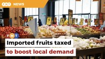 Imported fruit tax to drive local demand, bolster food security