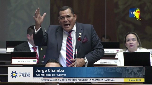 JORGE CHAMBA: EL ING. LEÓN FEBRES CORDERO LOGRÓ COMBATIR AL GRUPO SUBVERSIVO ALFARO VIVE CARAJO