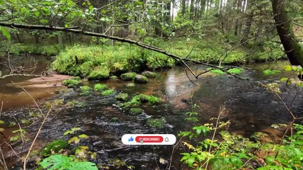 Floating in Calmness – Chill Ambient Music for Stress Release