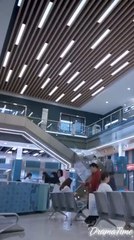 In love with an influencer chinese drama [ENG SUB]