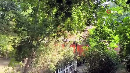 Siirt’te yanan işletme küle döndü