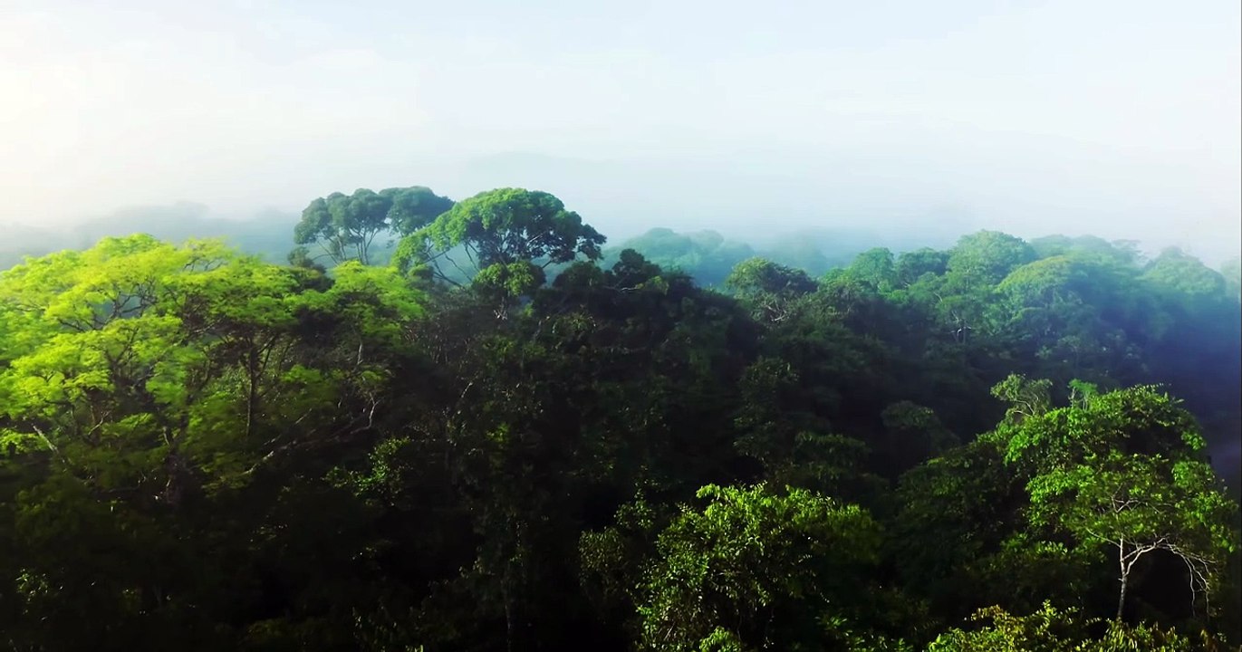 VIDÉO BANDE ANNONCE