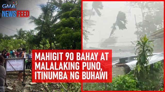 Mahigit 90 bahay at malalaking puno, itinumba ng buhawi | GMA Integrated Newsfeed