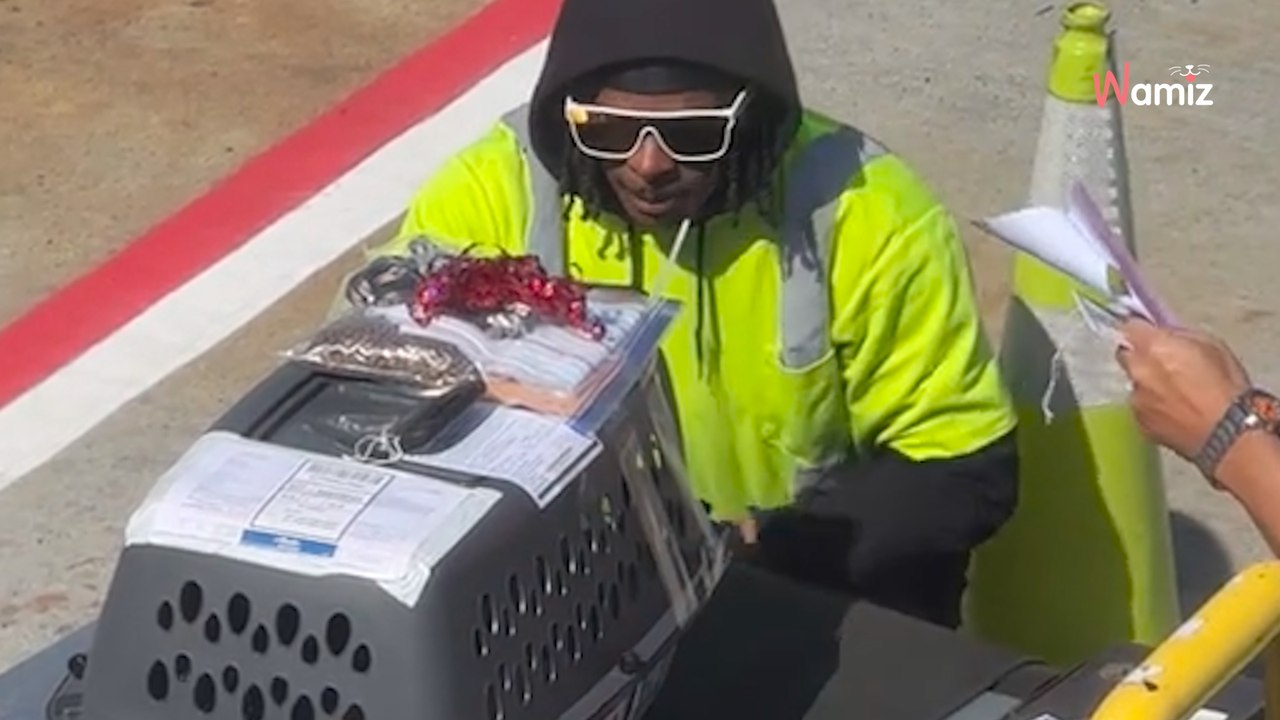 Airport workers stop for a special crate, as passenger catches everyone's attention