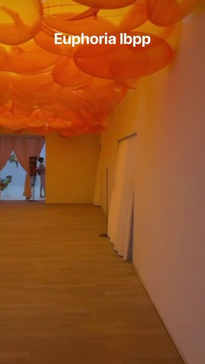 Euphoria au Grand Palais