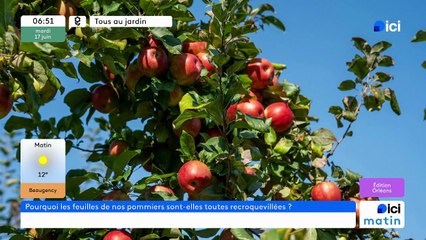 17/06/2025 - ici matin par ici Orléans en vidéo