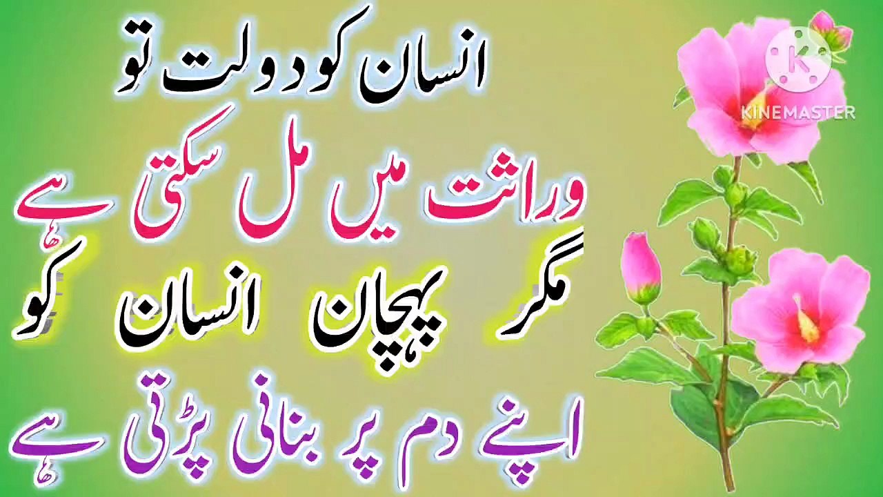 Insan Ko Daulat Quotes In Urdu🔥! Urdu Islamic Quotes💥! Best Urdu Quotes! ISLAMIC URDU MEWAT