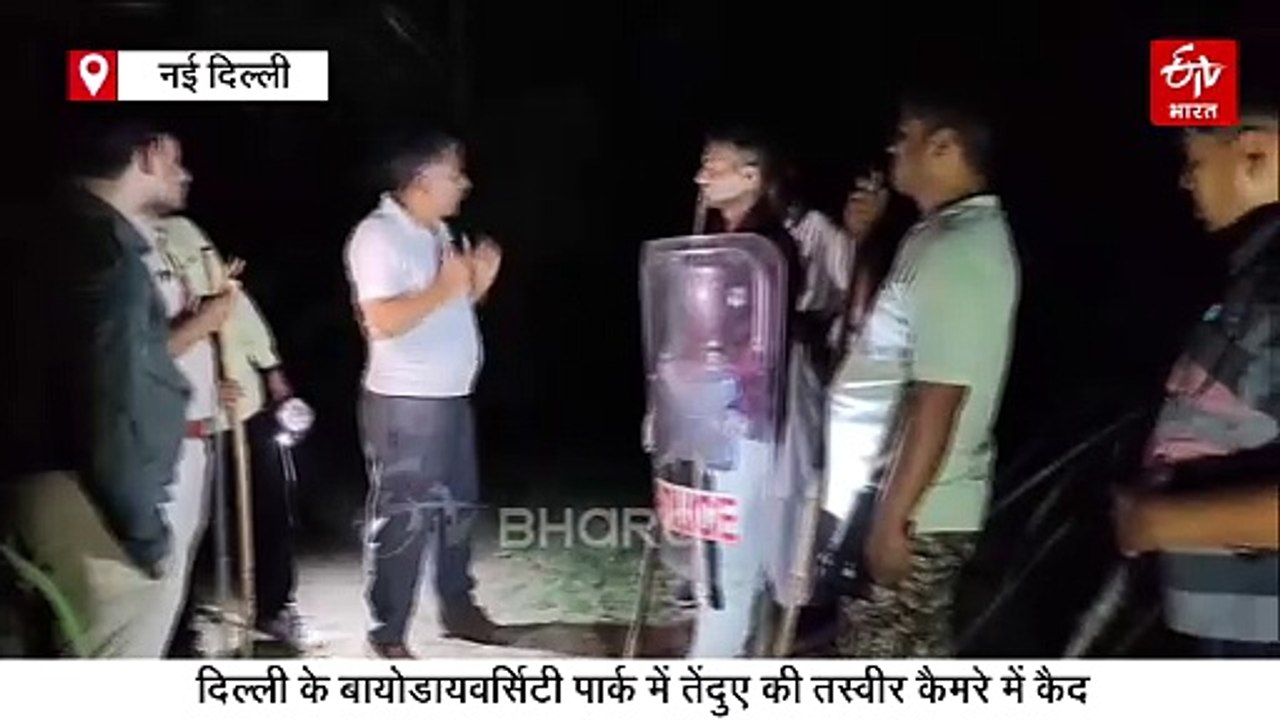 तेंदुए की तस्वीर कैमरे में कैद, दिल्ली के बायोडायवर्सिटी पार्क में मचा हड़कंप, दहशत का महौल