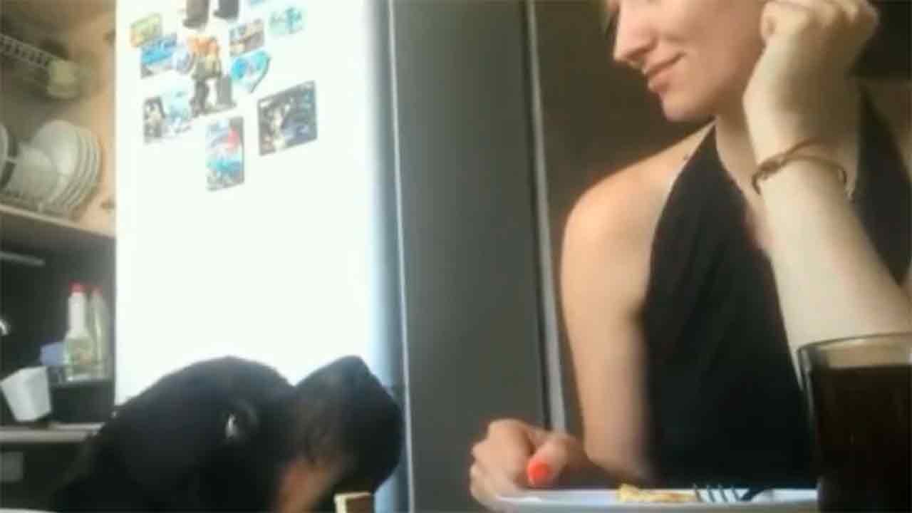 Lustiges Video zeigt hungrigen Rottweiler, der versucht, das Mittagessen seiner abgelenkten Besitzerin zu stehlen