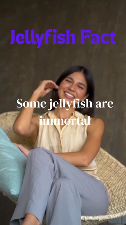 Jellyfish Funny Facts
