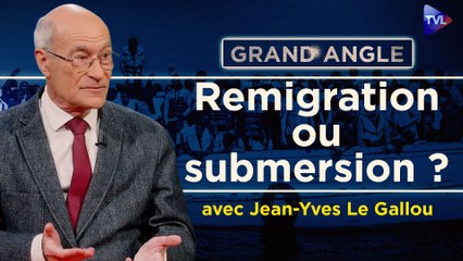 Grand Angle - Jean-Yves Le Gallou : Sommet pour la remigration de Milan