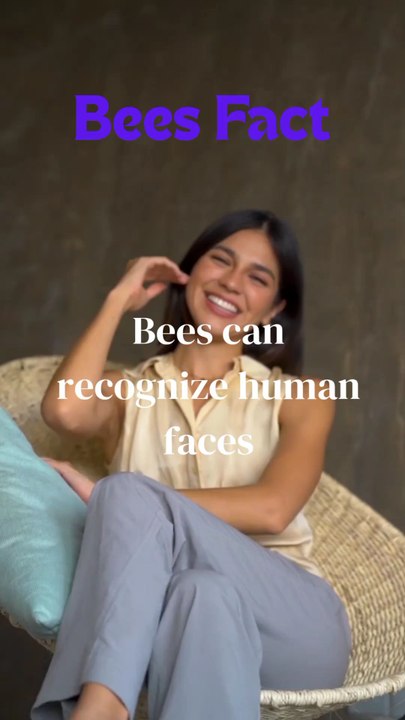 Bees Funny Facts 😅😅
