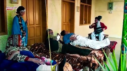 Ismail Shahid's Comedy-Drama Series Set to Release in 2025 🎭