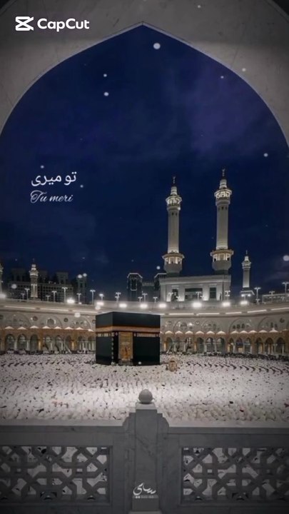 Beautiful Hamdshareef 🥰🥰