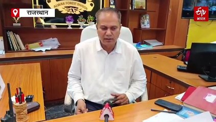 खोखली होती अरावली की पहाड़ियों को हरियाली देगी जीवनदान, 700 किमी में विकसित होगी ग्रीन अरावली वॉल