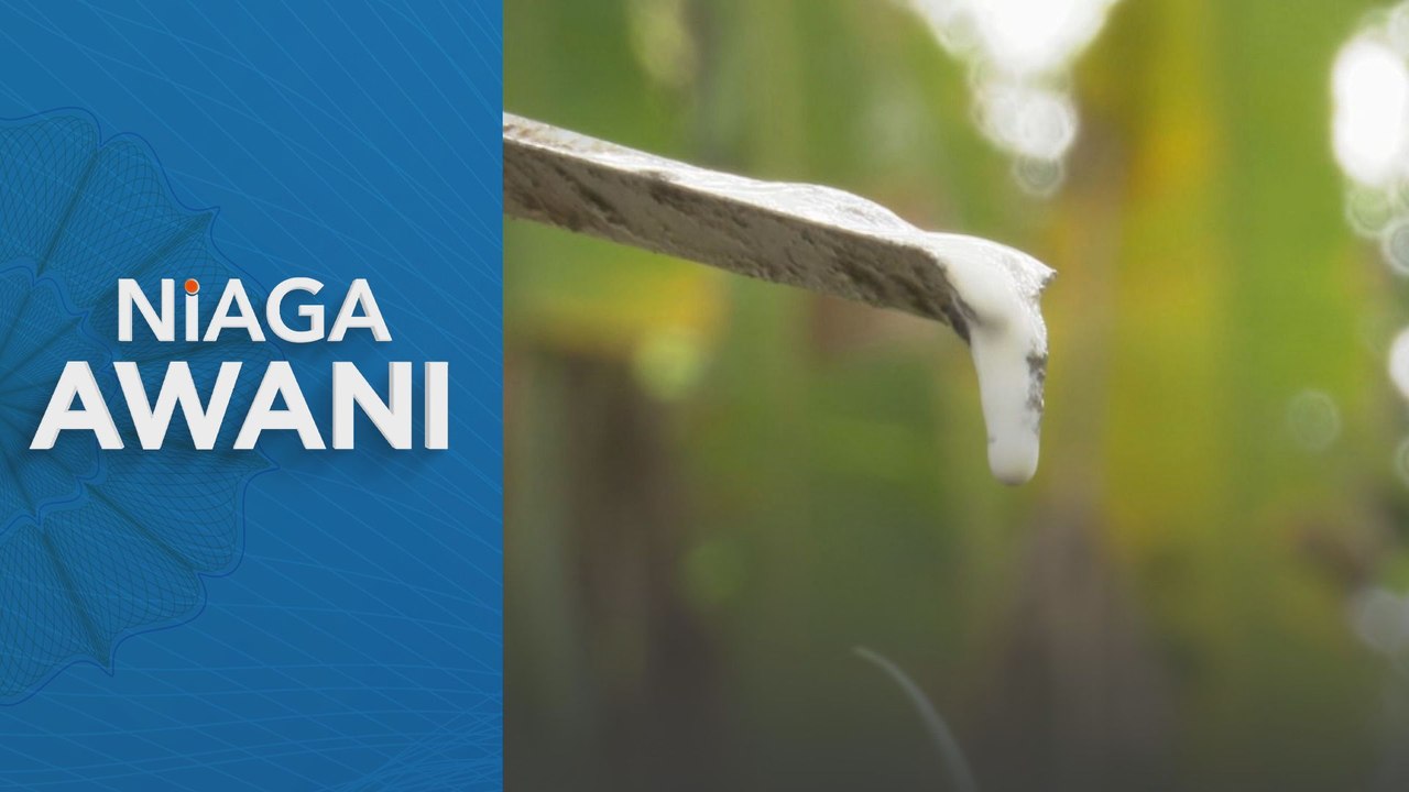 Kerajaan kumpul maklum balas impak SST kepada industri getah