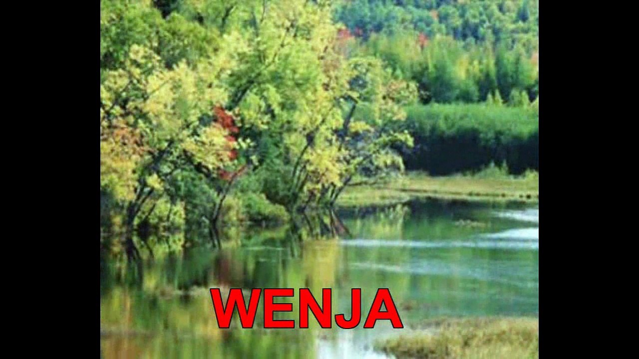 ´´ WENJA ´´  THE OTHER VERSION ( LEO BENNINK  JAZZ / SOUL / R&B / FUNK / ROCK / 2025