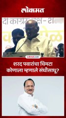 शरद पवारांचा चिमटा कोणाला म्हणाले संधीसाधू