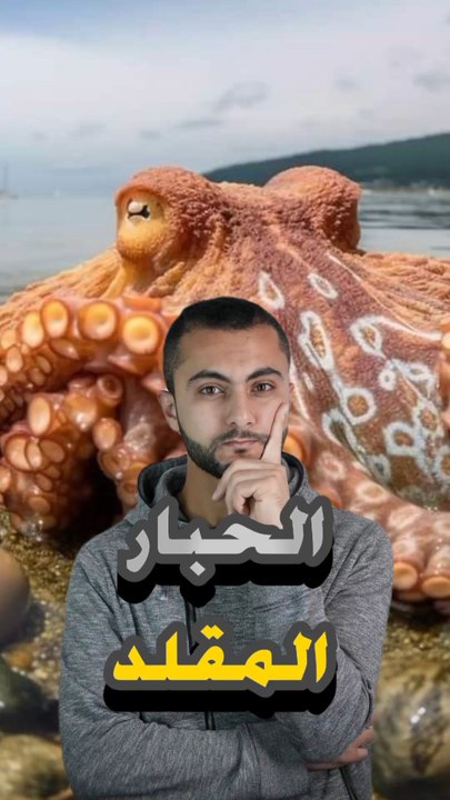 🎭🐙 حيوان يغير شكله بالكامل لخداع العدوhttps://psce.pw/7r5f9r#النواة #الحبار_المقلد#Alnawa #dubai🇦🇪 #dubailife #Sepiida #trending #travel #nature #wildlife