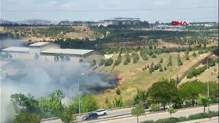 Atatürk Orman Çiftliği arazisinden dumanlar yükseldi