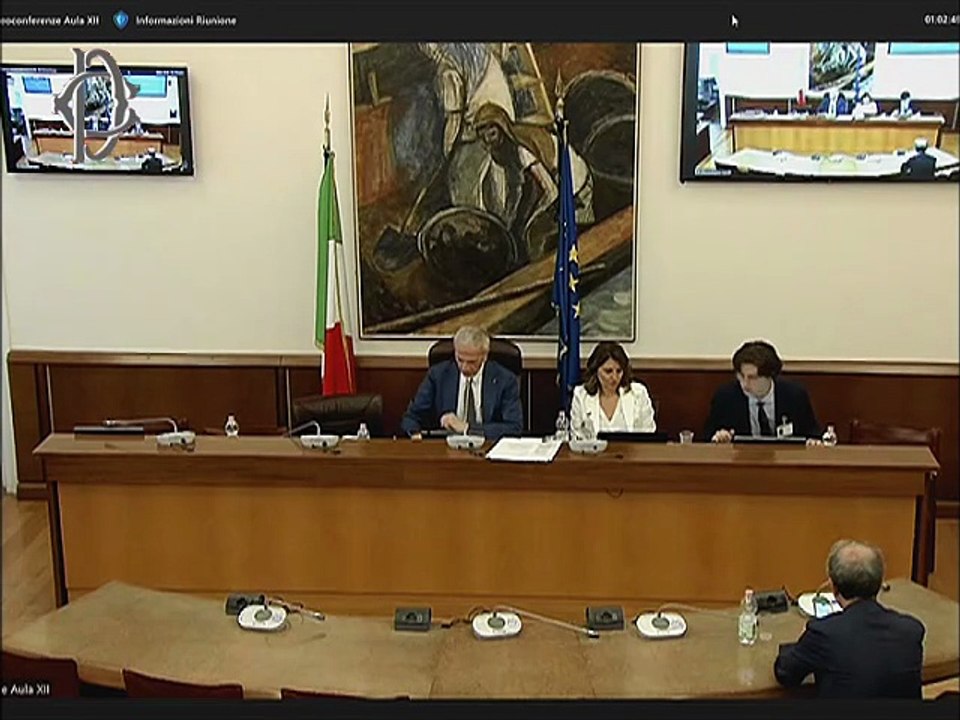 Roma - Prestazioni sanitarie-Audizioni-Federsanità, Ente nazionale previdenza assistenza medici e odontoiatri, Associazione psicologi italiani, Osservatorio malattie rare, Associazione Salute Donna  (17.06.25)